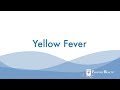 What Is Yellow Fever? Passport Health Explains